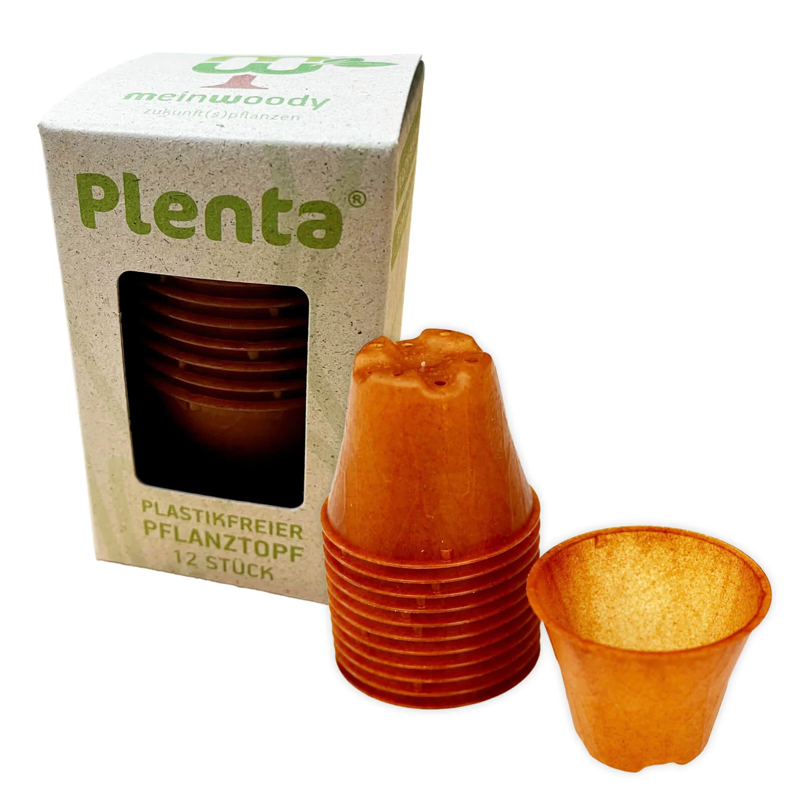 Plenta Plenta