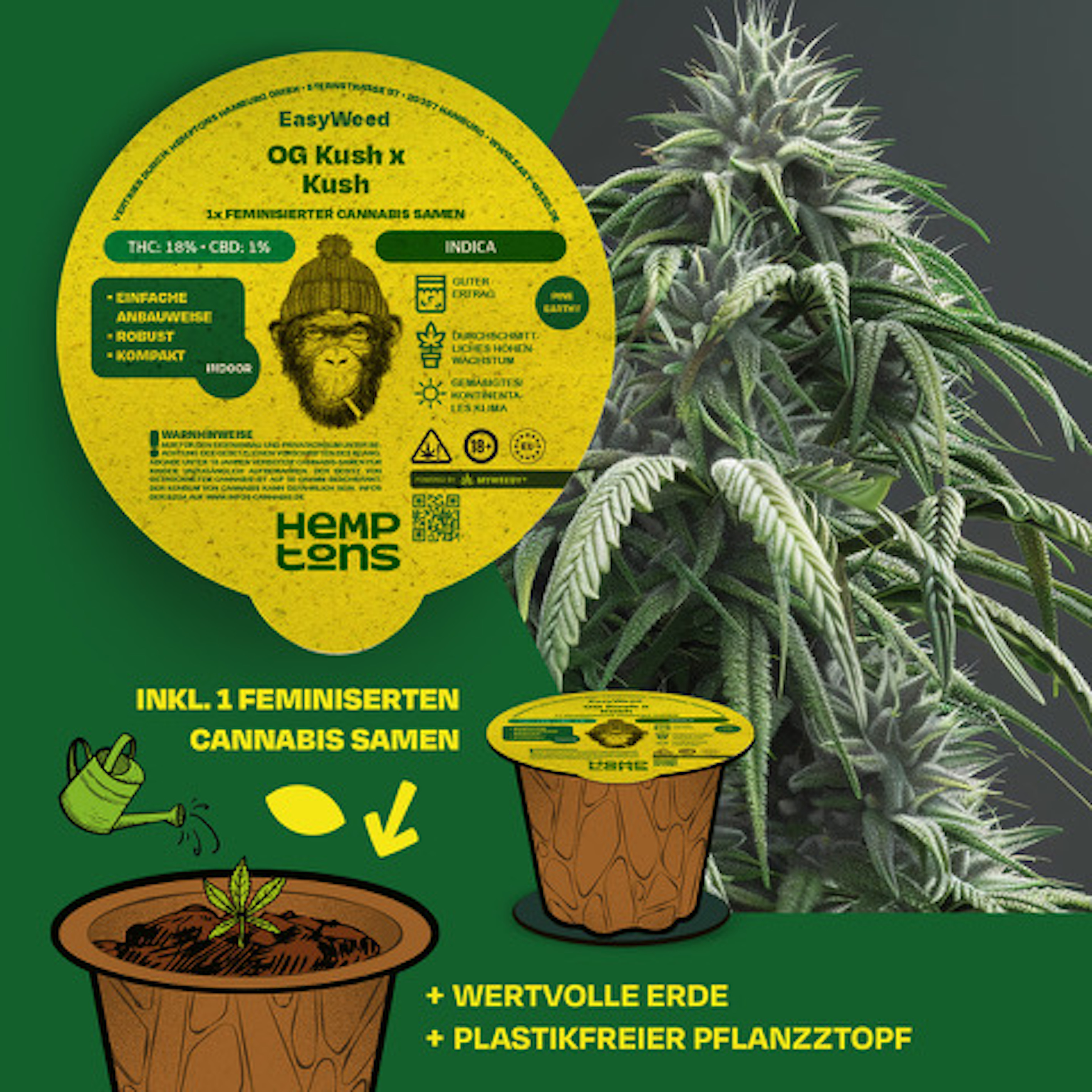 Easy Weed OG Kush 